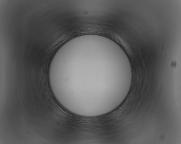 X0000089940313200707131459