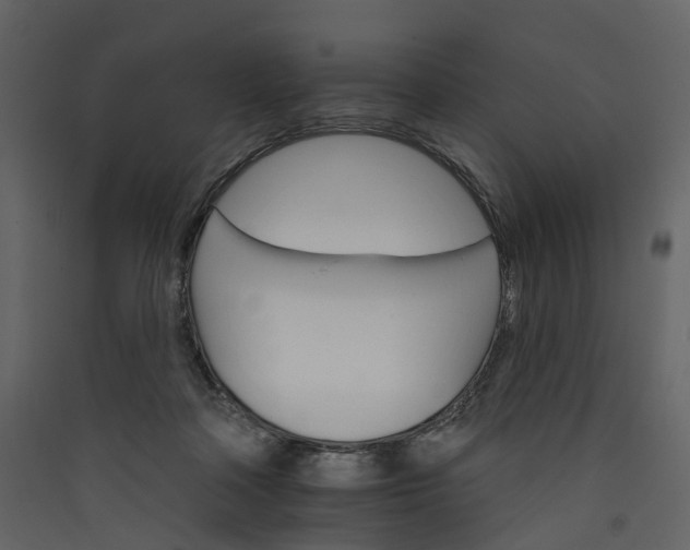 X0000089940314200707131459