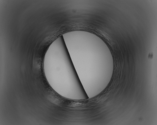 X0000089940315200707131459