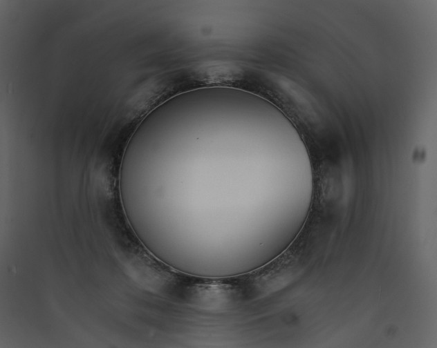 X0000089940316200707131459