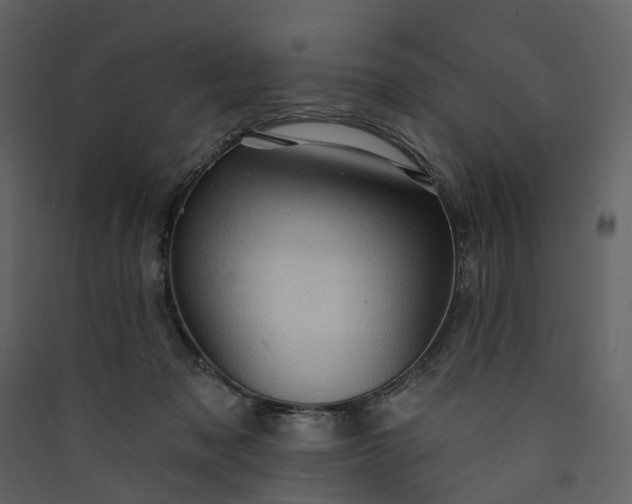 X0000089940317200707131459