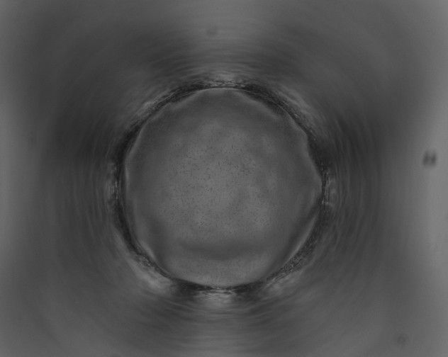 X0000089940318200707131459