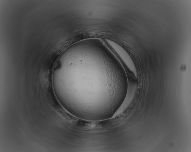 X0000089940319200707131459