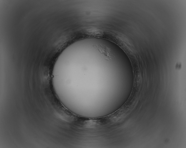 X0000089940320200707131459