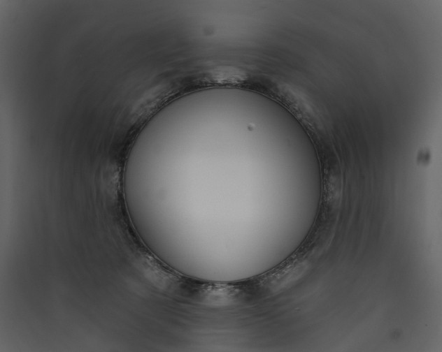 X0000089940321200707131459