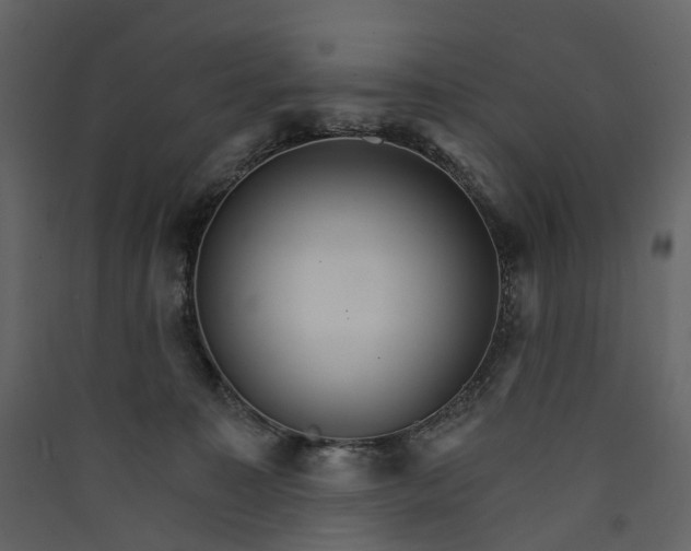 X0000089940323200707131459