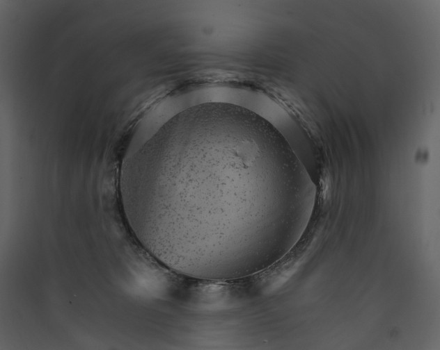 X0000089940325200707131459