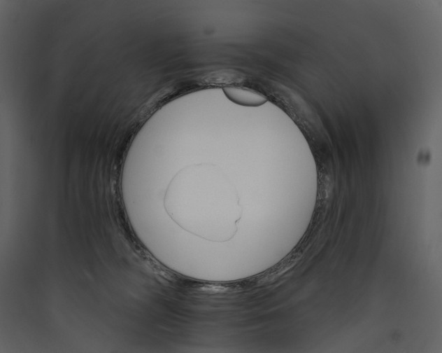 X0000089940326200707131459