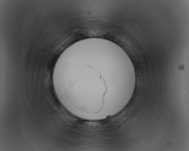 X0000089940327200707131459