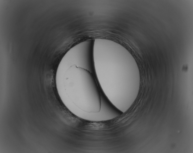 X0000089940328200707131459