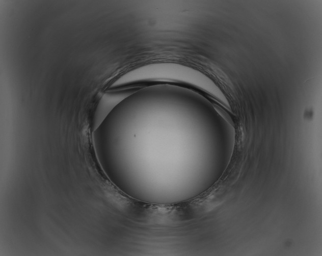 X0000089940329200707131459