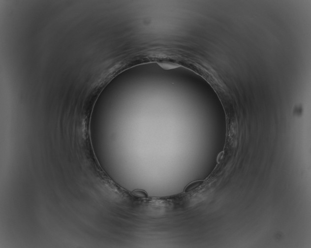 X0000089940330200707131459