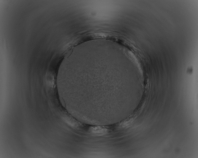 X0000089940331200707131459