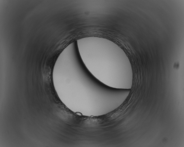 X0000089940332200707131459