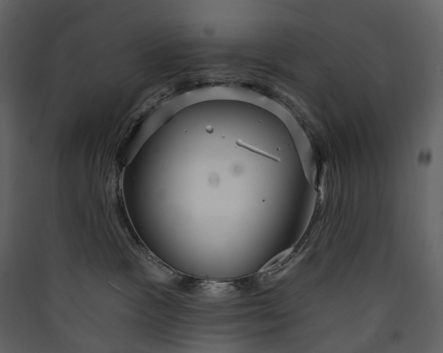 X0000089940333200707131459