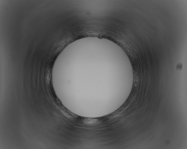 X0000089940334200707131459