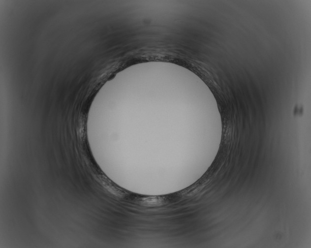 X0000089940335200707131459