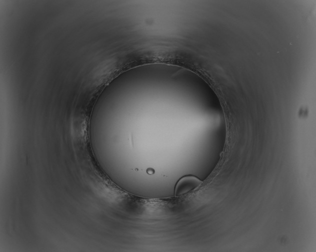 X0000089940336200707131459