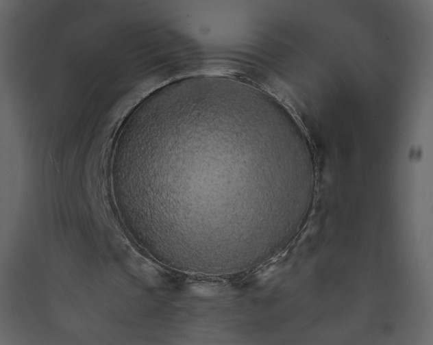 X0000089940337200707131458