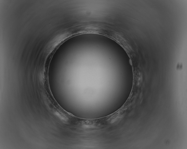 X0000089940338200707131458