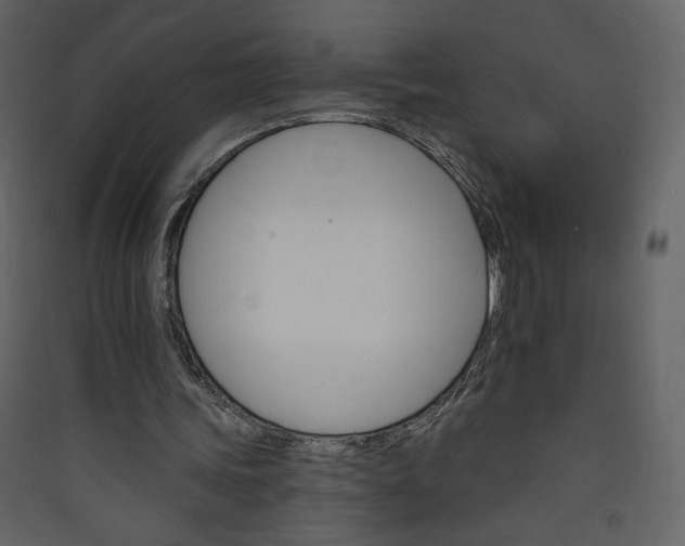 X0000089940339200707131458