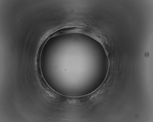 X0000089940340200707131458