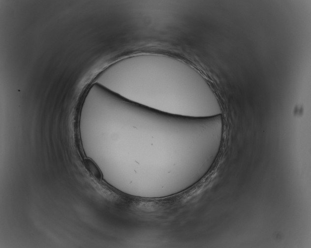 X0000089940341200707131458