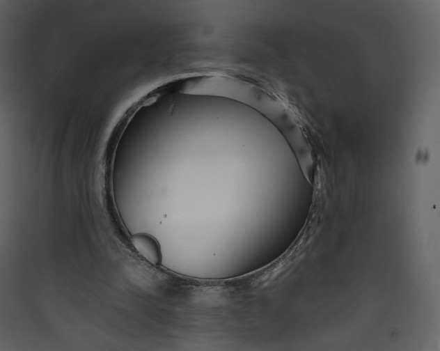 X0000089940342200707131458