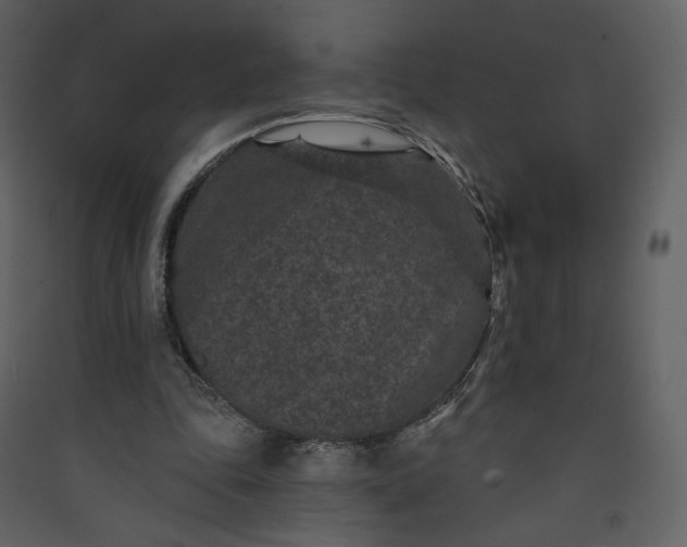 X0000089940343200707131458