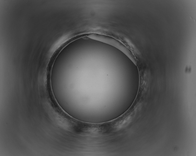 X0000089940344200707131458