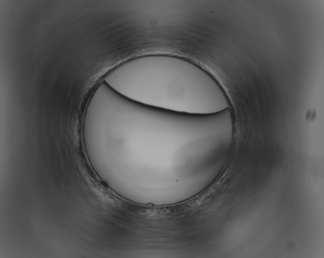 X0000089940345200707131458