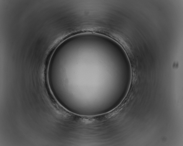 X0000089940346200707131458