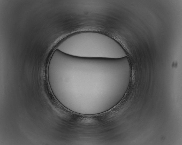 X0000089940348200707131458