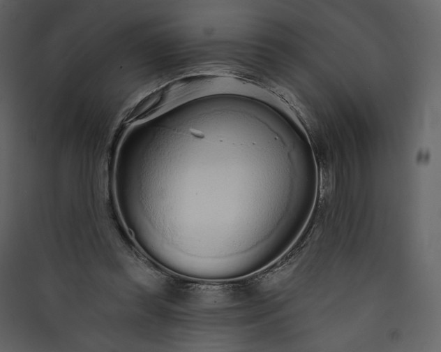 X0000089940349200707131458