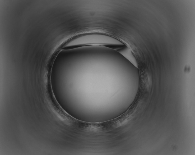 X0000089940350200707131458