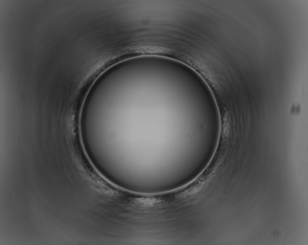 X0000089940351200707131458