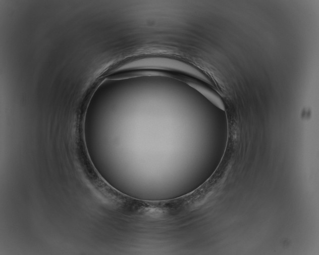 X0000089940352200707131458