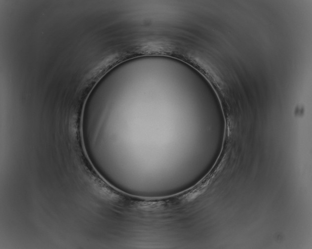 X0000089940353200707131458