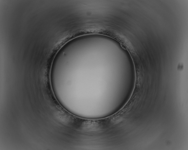 X0000089940354200707131458