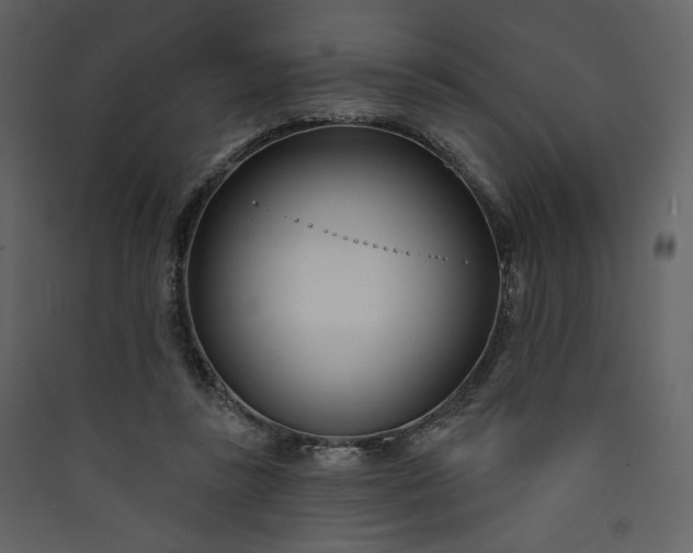 X0000089940355200707131458