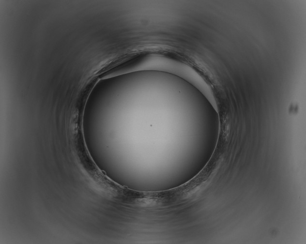 X0000089940356200707131458