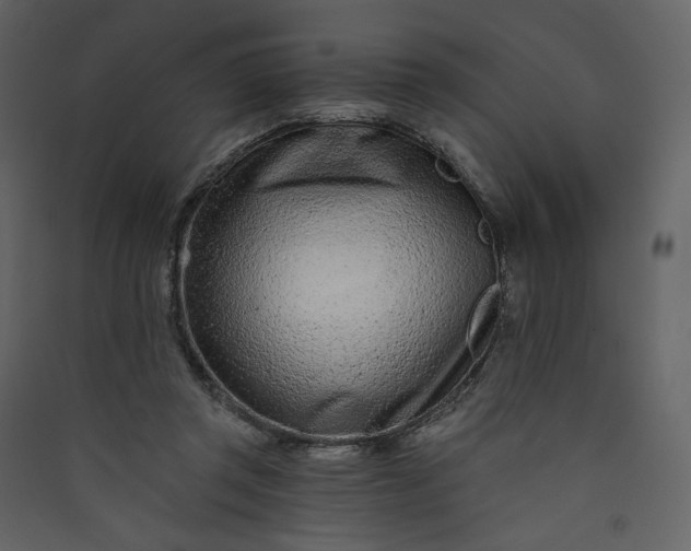 X0000089940357200707131458