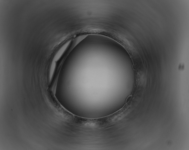 X0000089940358200707131458