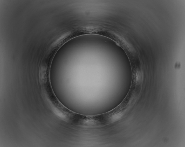 X0000089940360200707131458