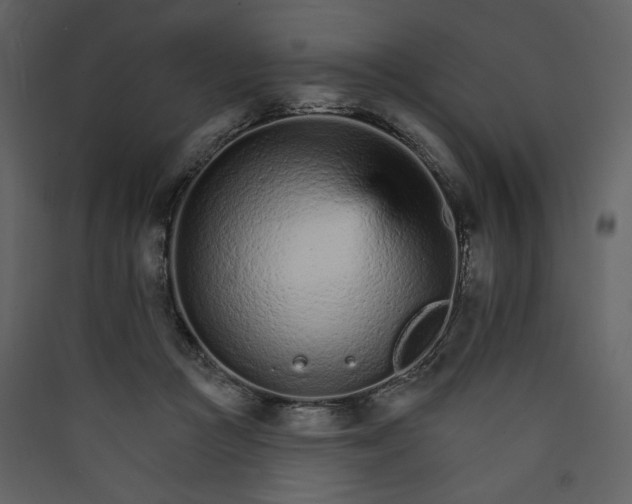 X0000089940361200707131459