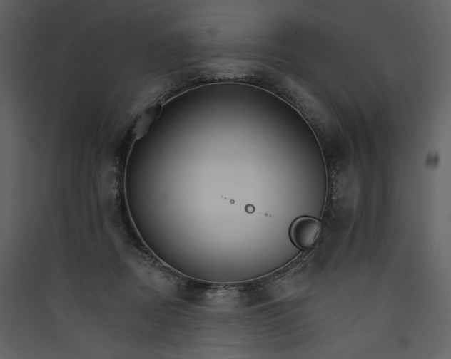 X0000089940362200707131459