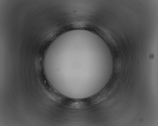 X0000089940364200707131459