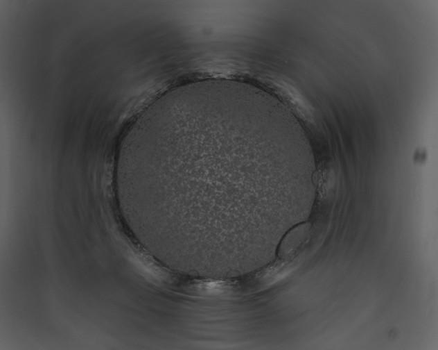 X0000089940365200707131459