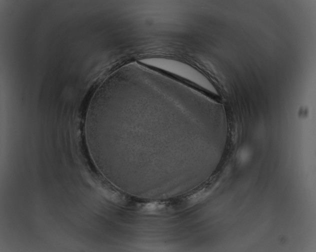 X0000089940366200707131459