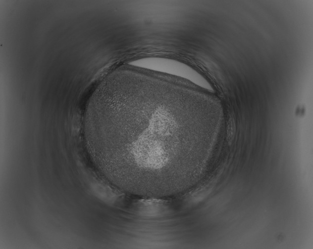 X0000089940367200707131459